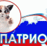 Выиграли Президентский грант - Кадуйский муниципальный район